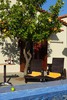 Хотел Skopelos Holidays Hotel & SPA  77