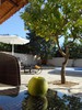 Хотел Skopelos Holidays Hotel & SPA  51